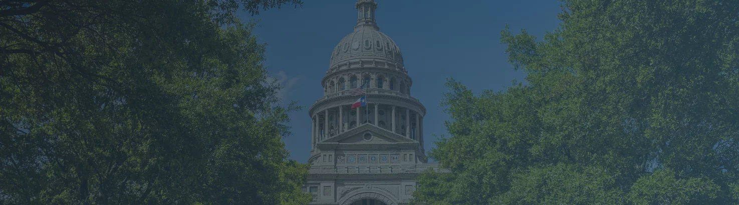 Texas Business Court Reaffirms Need for Factual Specificity in Pleading Damages to Meet Jurisdictional Thresholds: Lessons from M&M Livestock LLC v. Robinson