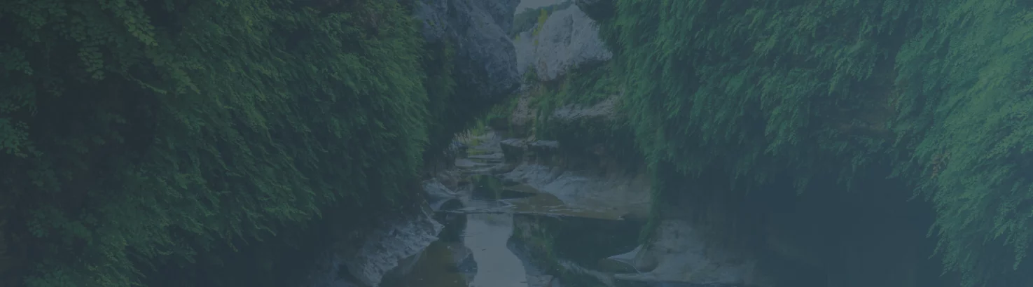 Case Study of Emerging Groundwater Management Issues at the Forefront of Large-scale Production from a Confined Aquifer: The Vista Ridge Project