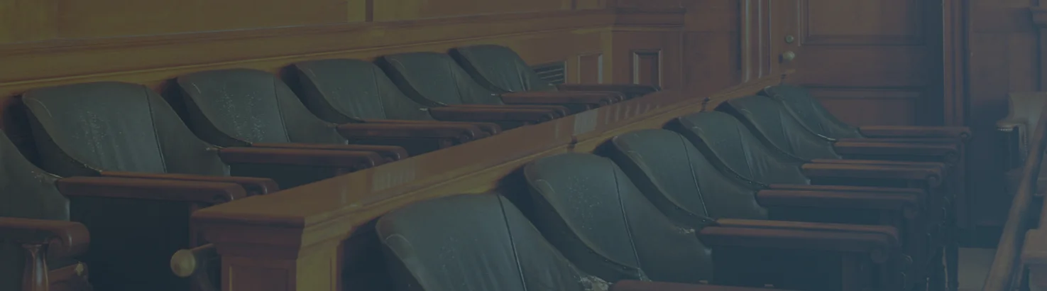 A Trial Lawyer in the Jury Box: Observations on Persuasion and People